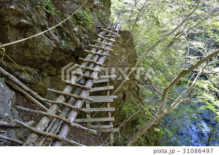 登山道にある危ない場所 丹沢早戸大滝 の写真素材 31086497 Pixta