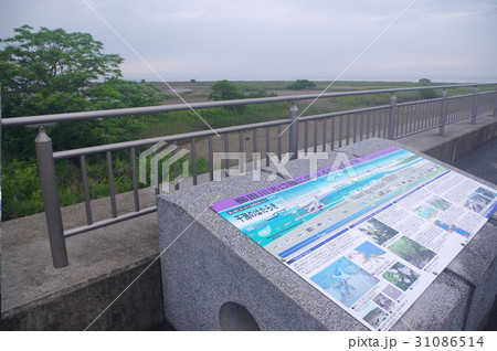 伊勢湾で最大級の松名瀬干潟 31086514