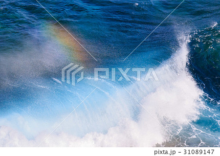 沖縄　国頭村 辺戸岬 31089147