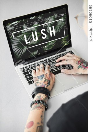 Ecology Fresh Lush Natural Nature Ecology Fresh Lush Natural Nature 31090199