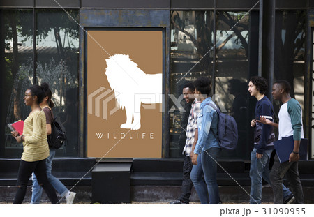 Animal Wildlife Word with Lion Graphic Animal Wildlife Word with Lion Graphic 31090955