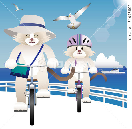 猫と夏 31093809