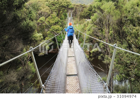 New Zealand　スチュワート島 31094974