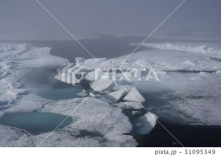 北極圏の風景 31095349