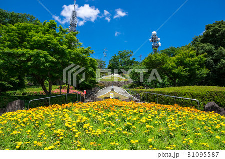 眉山公園 徳島県徳島市 眉山公園 徳島県徳島市 31095587