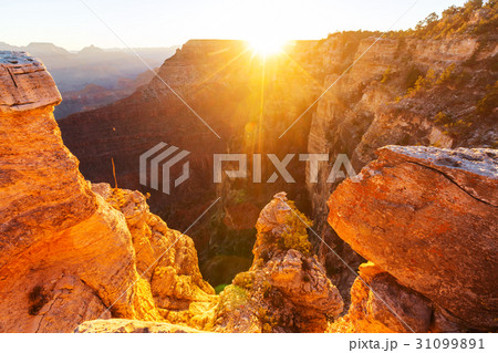 Grand Canyon 31099891