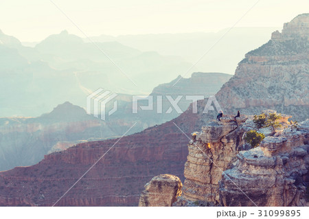 Grand Canyon 31099895
