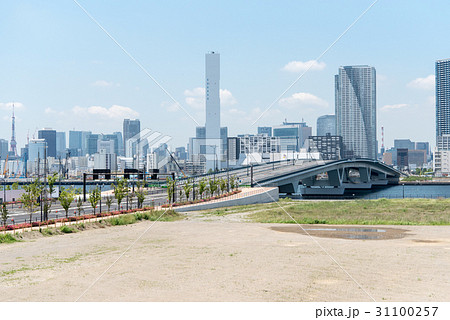 豊洲大橋 31100257