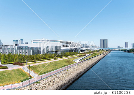 豊洲市場　水産卸売場棟 31100258