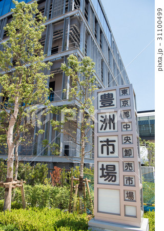 豊洲市場 正門南 豊洲市場 正門南 31100499