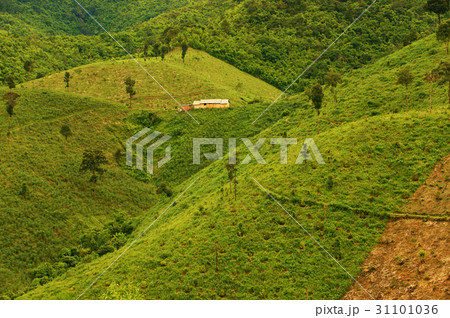 deforestation for agriculture, climate change deforestation for agriculture, climate change 31101036