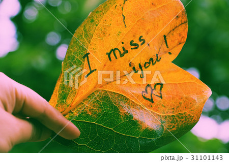 i miss you on old leaf i miss you on old leaf 31101143