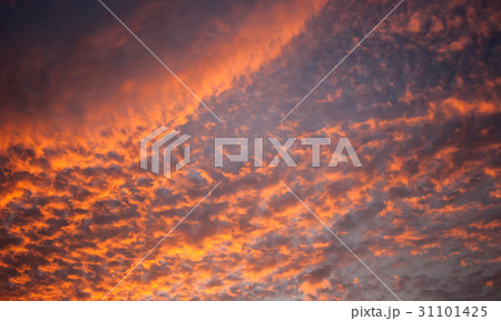 Sky and cloud in evening sunset time Sky and cloud in evening sunset time 31101425