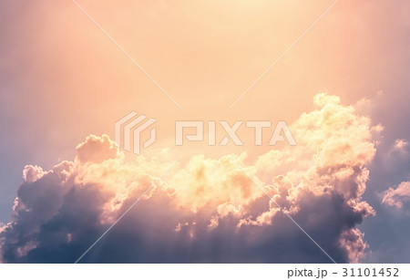 sky sky 31101452