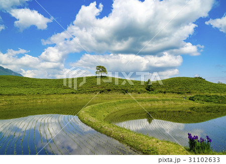 扇棚田 扇棚田 31102633