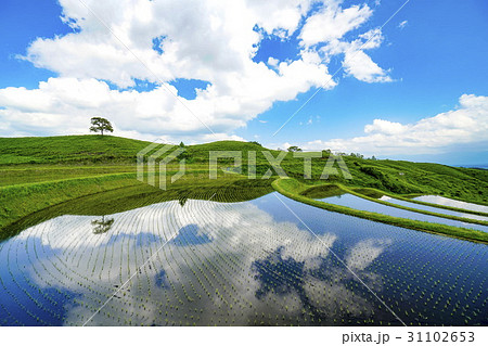 扇棚田 扇棚田 31102653