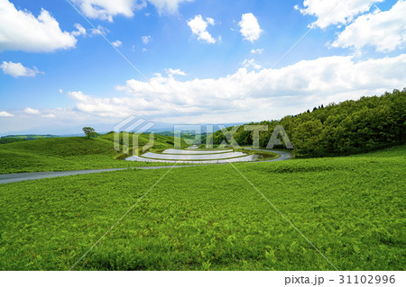 扇棚田 扇棚田 31102996