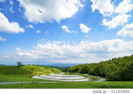 扇棚田 扇棚田 31103000