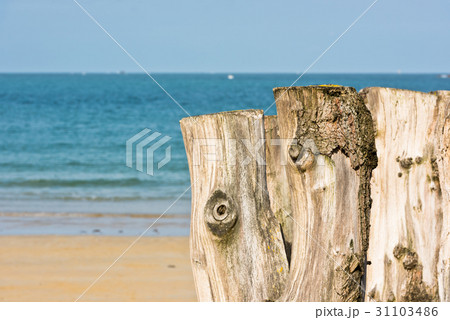 Breakwaters on seashore Saint malo, France 31103486