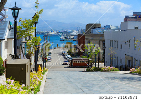 八幡坂と函館市電・箱館ハイカラ號 八幡坂と函館市電・箱館ハイカラ號 31103971