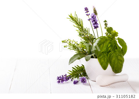 bunch of fresh herbs bunch of fresh herbs 31105182