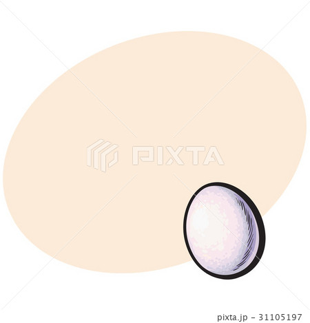 Single whole hard boiled, peeled, unshelled 31105197