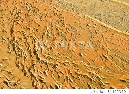 砂浜 31105399
