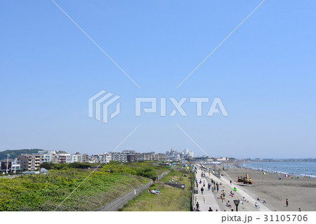 初夏の湘南海岸公園 初夏の湘南海岸公園 31105706