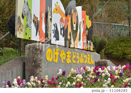 横浜・野毛山動物園 横浜・野毛山動物園 31106285