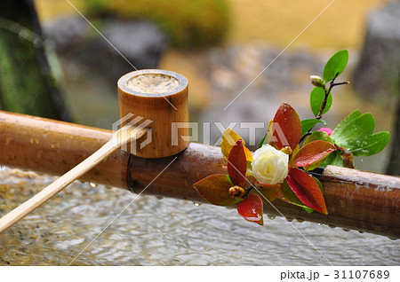 手水場のひしゃくと白い花 31107689