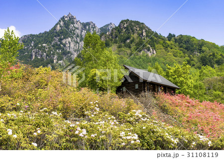 瑞牆山自然公園より瑞牆山の写真素材
