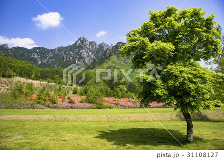 瑞牆山自然公園より瑞牆山 31108127