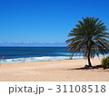 ハワイ　海 31108518