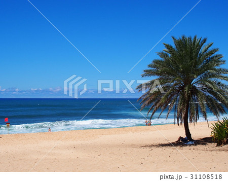 ハワイ 海 ハワイ 海 31108518