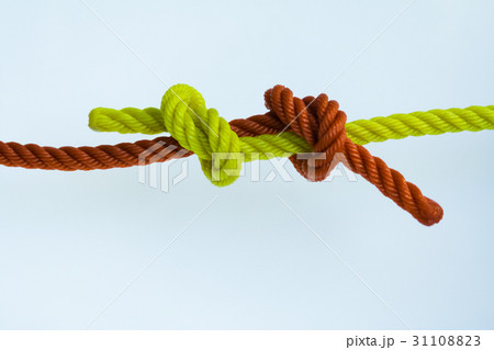 Fisherman's knotted on a white background. 31108823