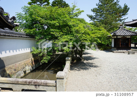 兵庫県　鶴林寺　境内（加古川市） 31108957