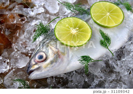 Frozen fresh trevally fish. 31109342