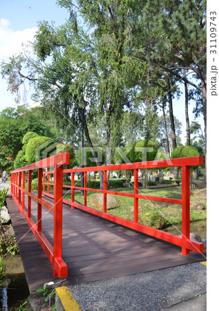 Red bridge in Chinese Garden 31109743