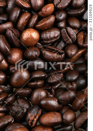 Coffee Beans Coffee Beans 31109929