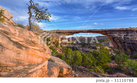 Natural Bridge Natural Bridge 31110788