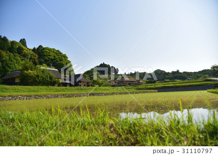 わらぶき屋根のある風景 31110797