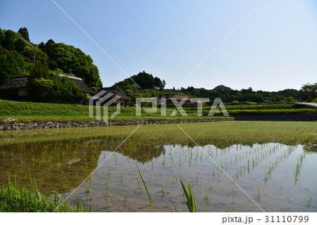 わらぶき屋根のある風景 わらぶき屋根のある風景 31110799