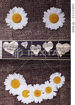 smile of daisies and guitar 31111002