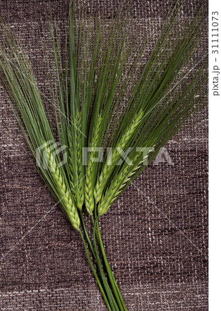 spikes and bread spikes and bread 31111073
