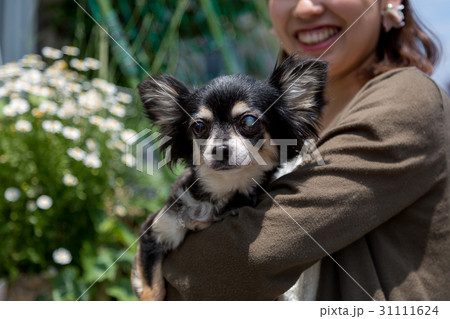 愛犬を抱く女性 31111624