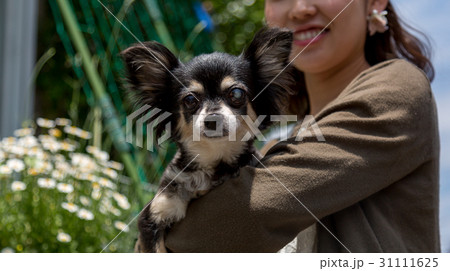 愛犬を抱く女性 31111625
