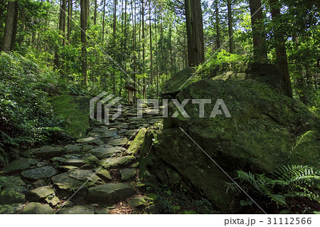 三重県・熊野古道・伊勢路・馬越峠 31112566