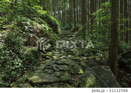 三重県・熊野古道・伊勢路・馬越峠 31112568