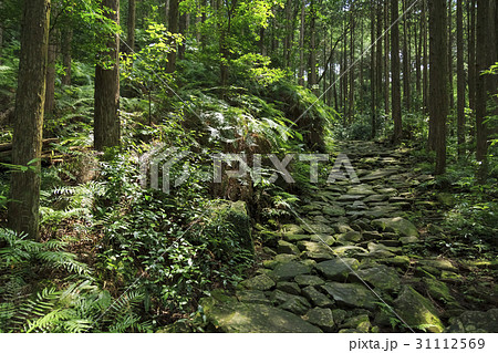 三重県・熊野古道・伊勢路・馬越峠 三重県・熊野古道・伊勢路・馬越峠 31112569