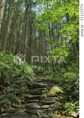 三重県・熊野古道・伊勢路・馬越峠 三重県・熊野古道・伊勢路・馬越峠 31112574